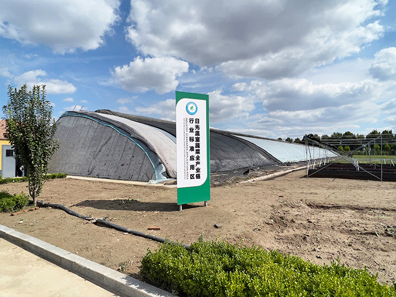 日光溫室案例現場